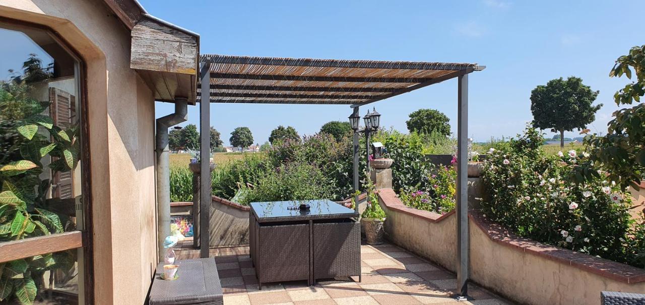 Maison De Avec Piscine, Proche Strasbourg Et Europa Park Holiday home Sand