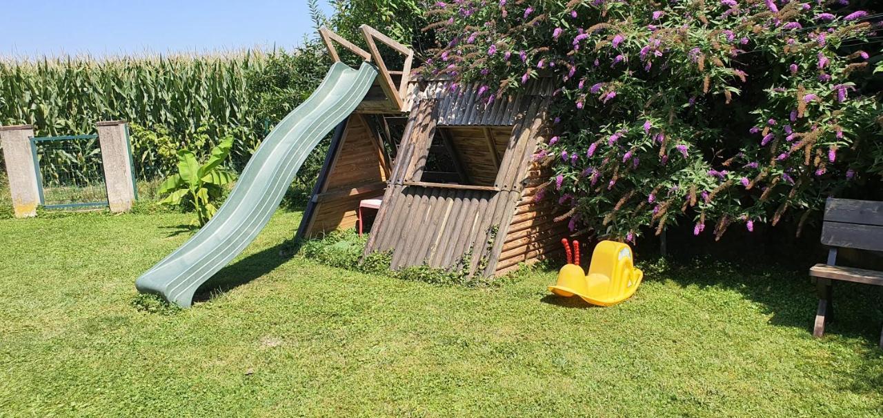 Maison De Avec Piscine, Proche Strasbourg Et Europa Park Sand